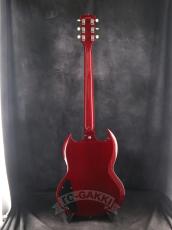 Edwards 2012 E-SG-90LT2/P Cherry_6