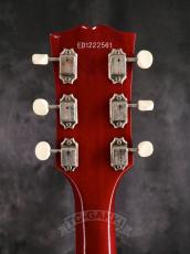 Edwards 2012 E-SG-90LT2/P Cherry_7