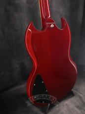 Edwards 2012 E-SG-90LT2/P Cherry_8