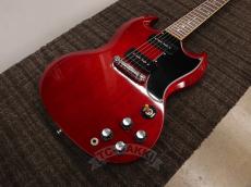 Edwards 2012 E-SG-90LT2/P Cherry_9