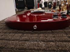 Edwards 2012 E-SG-90LT2/P Cherry_10