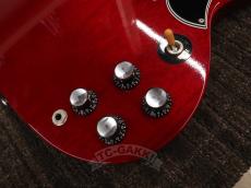Edwards 2012 E-SG-90LT2/P Cherry_12