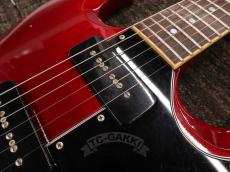 Edwards 2012 E-SG-90LT2/P Cherry_14