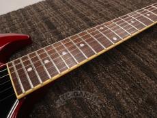 Edwards 2012 E-SG-90LT2/P Cherry_15