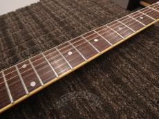 Edwards 2012 E-SG-90LT2/P Cherry_16