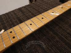 Fender Mexico 2015 Standard Telecaster White / Maple_15