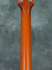 Gibson Custom Shop 1958 Les Paul Goldtop Tom Murphy Painted & Aged "Murphy Burst #18"_13