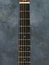 Huss & Dalton 2014 Model 000_4
