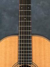 Huss & Dalton 2014 Model 000_5