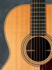 Huss & Dalton 2014 Model 000_6