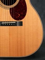 Huss & Dalton 2014 Model 000_9