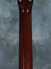 Huss & Dalton 2014 Model 000_11