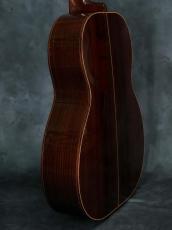 Huss & Dalton 2014 Model 000_17