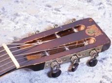 Dobro Model 25_5