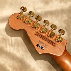 Charvel Pro-Mod DK24 HSH 2PT CM Mahogany, Natural_5