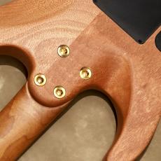 Charvel Pro-Mod DK24 HSH 2PT CM Mahogany, Natural_9