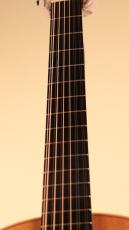 Lowden F-32 12-string【Used】【12弦モデル】【ピックアップ搭載】_5