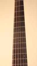 Ovation Celebrity CE44P-FKOA-G【セレブリティ・エリートプラス】【New】_4