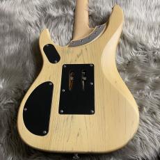 Washburn N24-NUNO VINTAGE MATTE【現物画像】【最大36回分割無金利キャンペーン実施中】_5