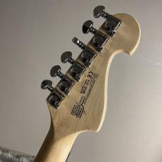 Washburn N24-NUNO VINTAGE MATTE【現物画像】【最大36回分割無金利キャンペーン実施中】_8