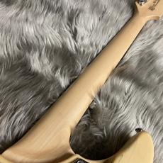 Washburn N24-NUNO VINTAGE MATTE【現物画像】【最大36回分割無金利キャンペーン実施中】_10