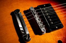 Gibson ES-335 Studio / 2016_5