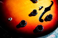 Gibson ES-335 Studio / 2016_6