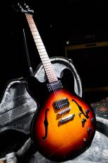 Gibson ES-335 Studio / 2016_9