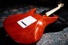 FUJIGEN EOS-FM-R Expert ODYSSEY_9