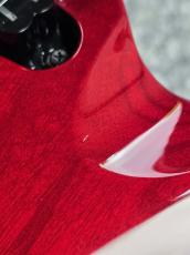 ESP FOREST-GT  - See Thru Red - 【USED】_4