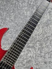 ESP FOREST-GT  - See Thru Red - 【USED】_6