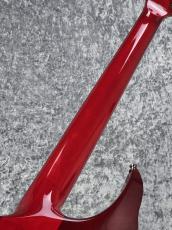 ESP FOREST-GT  - See Thru Red - 【USED】_7