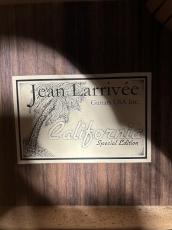 Larrivee LV-19 Special Edition_7