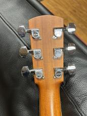 Larrivee LV-19 Special Edition_9