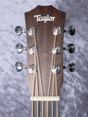 Taylor 【待望の入荷!】babyTaylor-e / BT1e_11