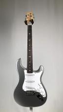 Paul Reed Smith [PRS] SE SE Silver Sky Rosewood -Platinum Spark- 【3.22kg】2025年製_2