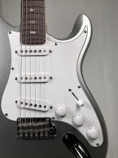 Paul Reed Smith [PRS] SE SE Silver Sky Rosewood -Platinum Spark- 【3.22kg】2025年製_6