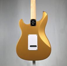 Paul Reed Smith [PRS] SE SE Silver Sky Rosewood -Gold Spark- 【3.22kg】2025年製_9
