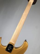Paul Reed Smith [PRS] SE SE Silver Sky Rosewood -Gold Spark- 【3.22kg】2025年製_11