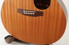 Martin GP-X2E ZIRICOTE Special #2967493【ジリコテHPL】【エレアコ】_6