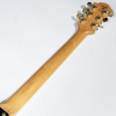 FERNANDES MG-120X Paint【中古】_8