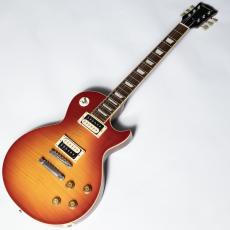 Edwards E-LPS【中古】【エドワーズ】_2