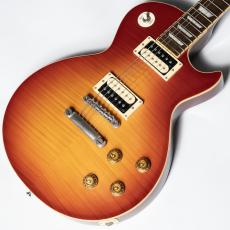 Edwards E-LPS【中古】【エドワーズ】_3
