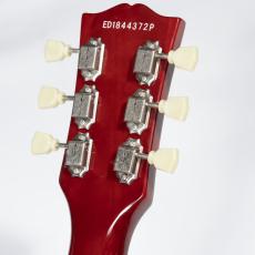 Edwards E-LPS【中古】【エドワーズ】_5