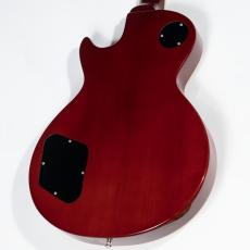 Edwards E-LPS【中古】【エドワーズ】_6