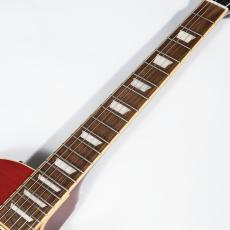 Edwards E-LPS【中古】【エドワーズ】_7