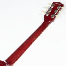 Edwards E-LPS【中古】【エドワーズ】_8