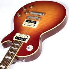 Edwards E-LPS【中古】【エドワーズ】_9