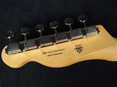 Fender 75th Anniversary Player II Telecaster Daphne Blue_9