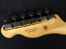 Fender 75th Anniversary Player II Telecaster Daphne Blue_9